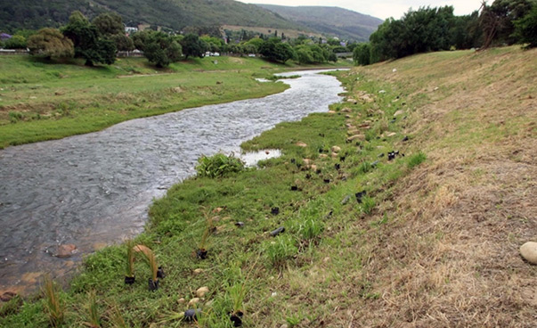 Ein Fluss, an dessen Ufer kleine Anpflanzungen zu sehen sind.